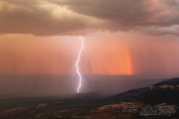 Kaibab National forest, AZ