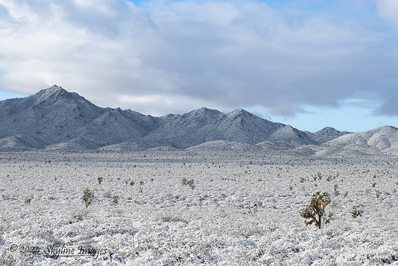 Mojave National Preserve California
