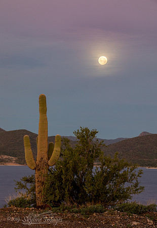 Moonset, Lake Pleasant Arizona