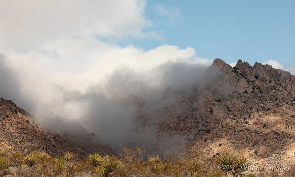Mojave National Preserve, California
