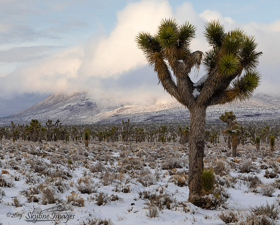Death Valley National Park, California
