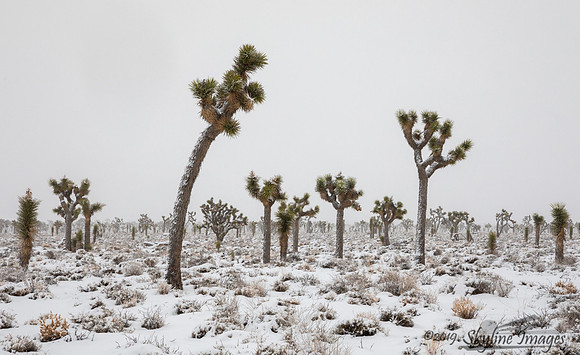 Death Valley National Park, California