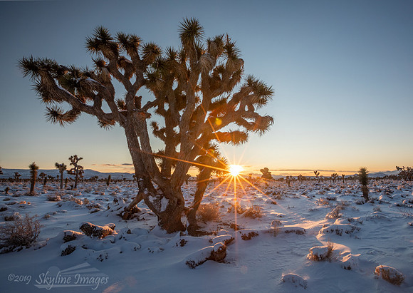 Death Valley National Park, California