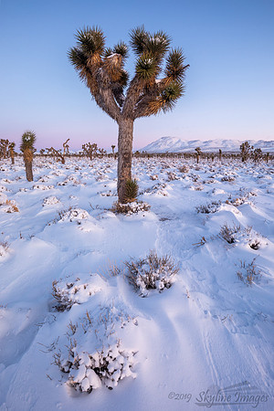 Death Valley National Park, California