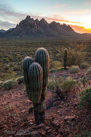 Ironwood Forest National Monument Arizona