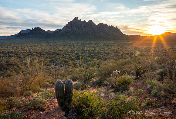 Ironwood Forest National Monument Arizona