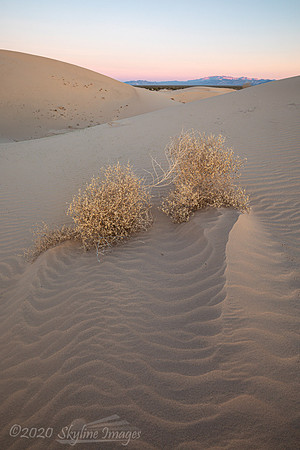Mojave Trails National Monument CA