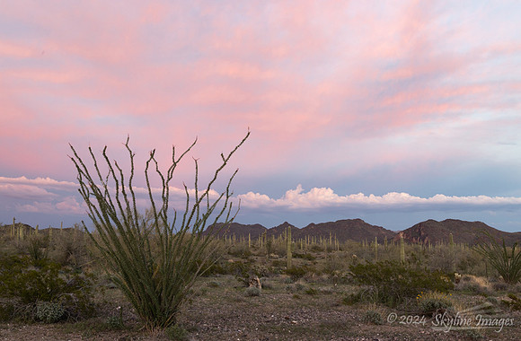 Harquahala Mountains Arizona