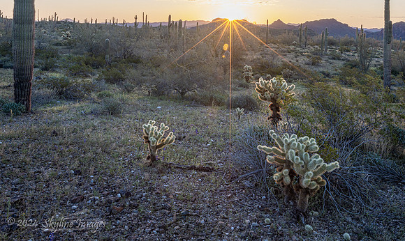 Harquahala Mountains Arizona