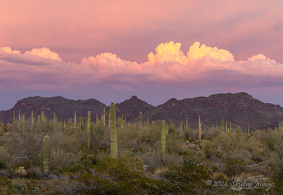 Harquahala Mountains Arizona
