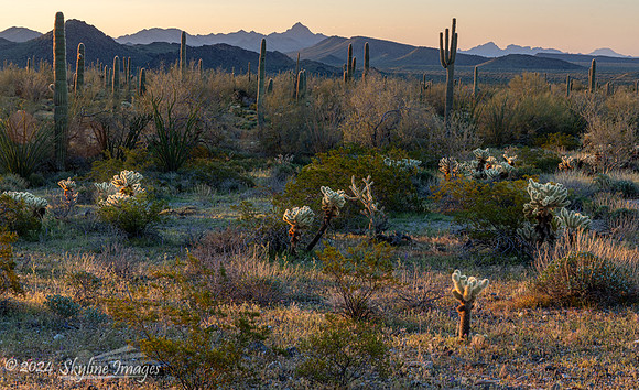Harquahala Mountains Arizona
