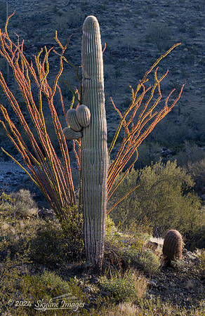 Harquahala Mountains Arizona