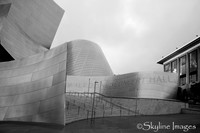 Disney Concert Hall, Los Angeles