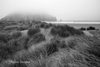 Morro Dunes
