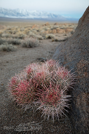 Alabama Hills CA