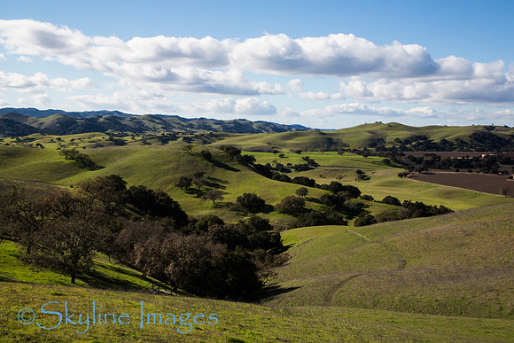 Green Hills, Santa Ynez Valley CA