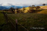 Ranch