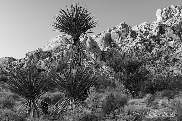 Mojave Desert, California