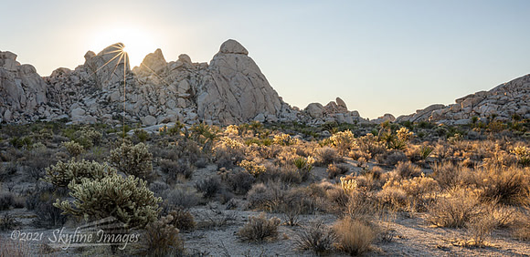 Mojave Desert, California