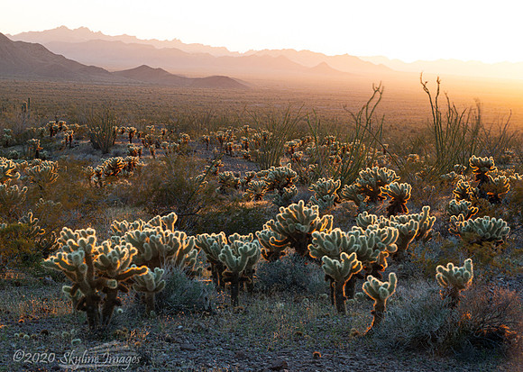 Kofa National Wildlife Preserve