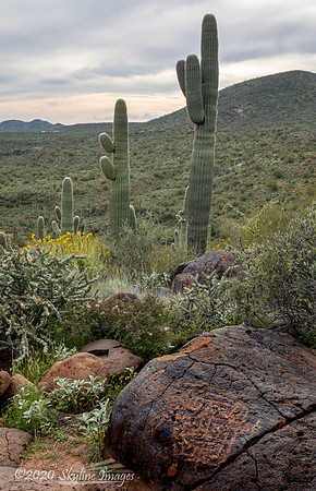 Cave Creek Arizona