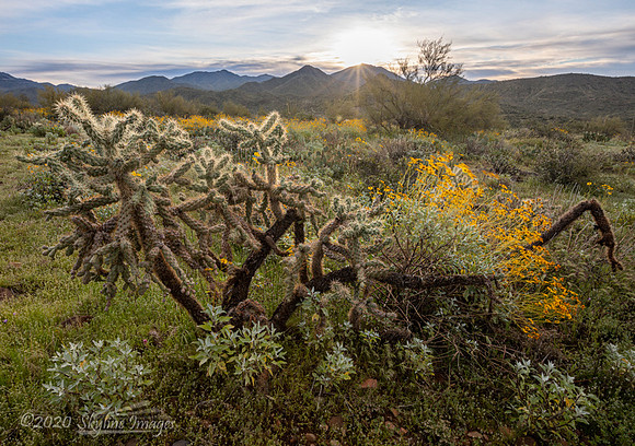 Cave Creek Arizona