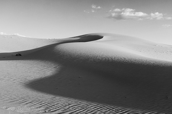 Mojave Desert California