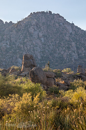 McDowell Sonoran Preserve, Arizona