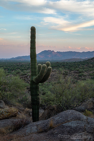 McDowell Sonoran Preserve, Arizona