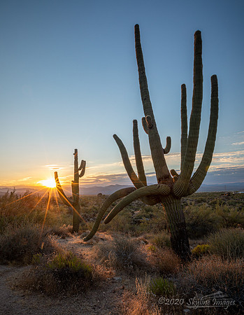 McDowell Sonoran Preserve, Arizona