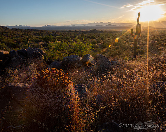 McDowell Sonoran Preserve, Arizona