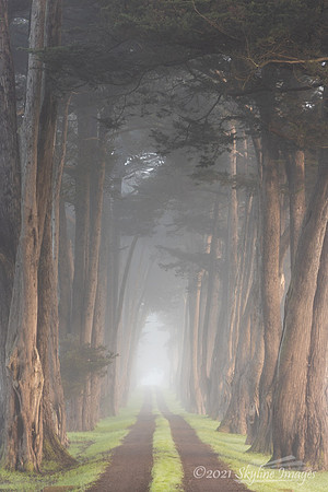 Marin County, California