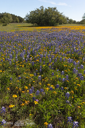 Texas Hill Country