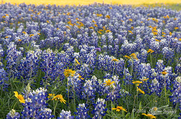 Texas Hill Country