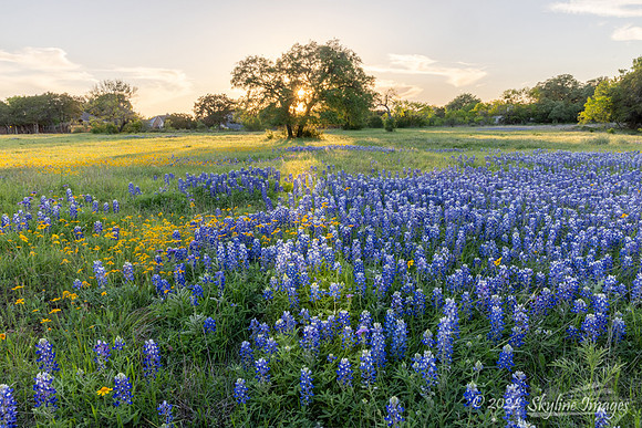 Texas Hill Country