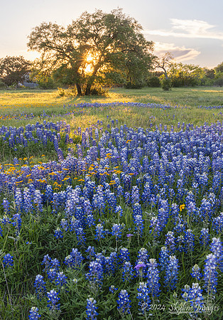 Texas Hill Country