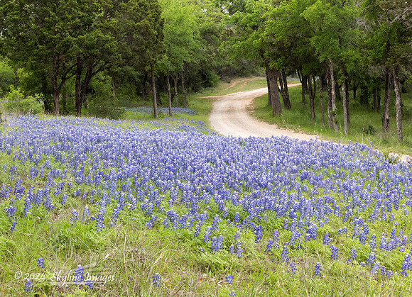 Texas Hill Country