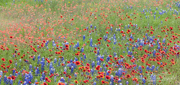 Texas Hill Country