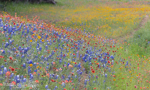Texas Hill Country