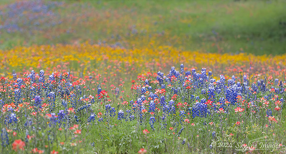 Texas Hill Country