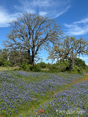 Texas Hill Country