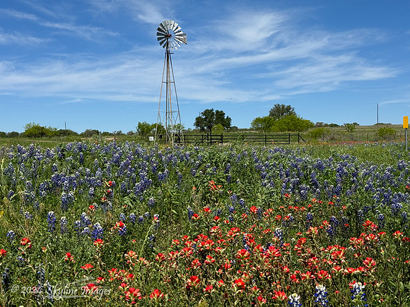 Texas Hill Country