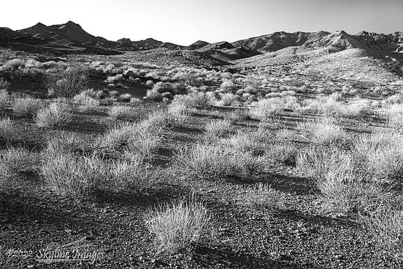 Mojave Trails National Monument