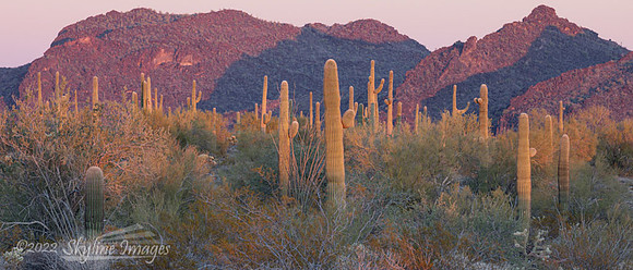 Harquahala Mountains AZ