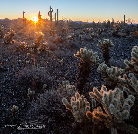 Harquahala Mountains AZ