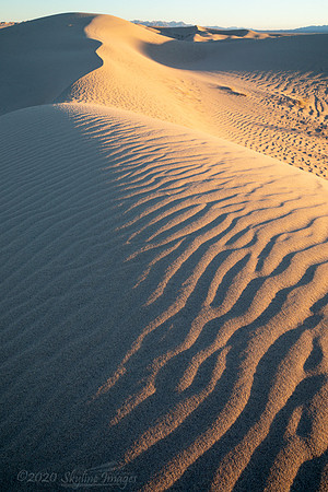 Dunes, Mojave Desert