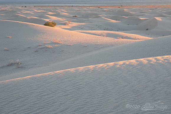 Dunes, Mojave Desert