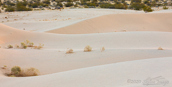 Dunes, Mojave Desert