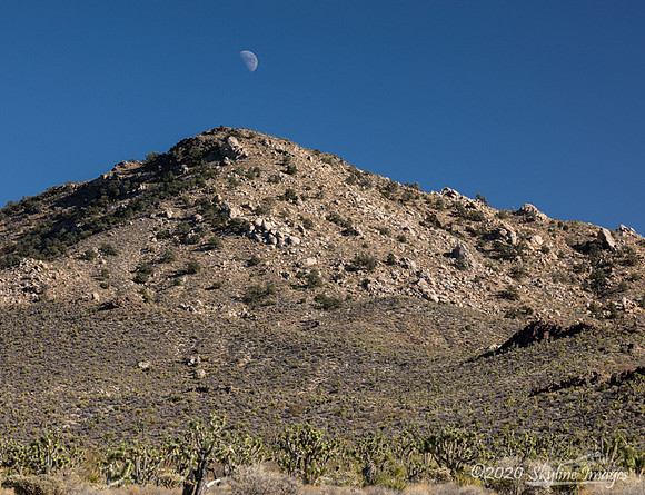 Mojave National Preserve