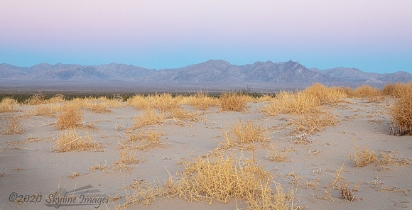 Dunes, Mojave Desert